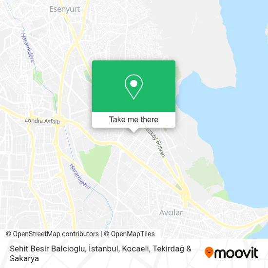 Sehit Besir Balcioglu map