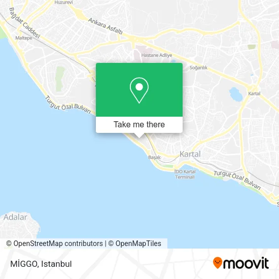 MİGGO map