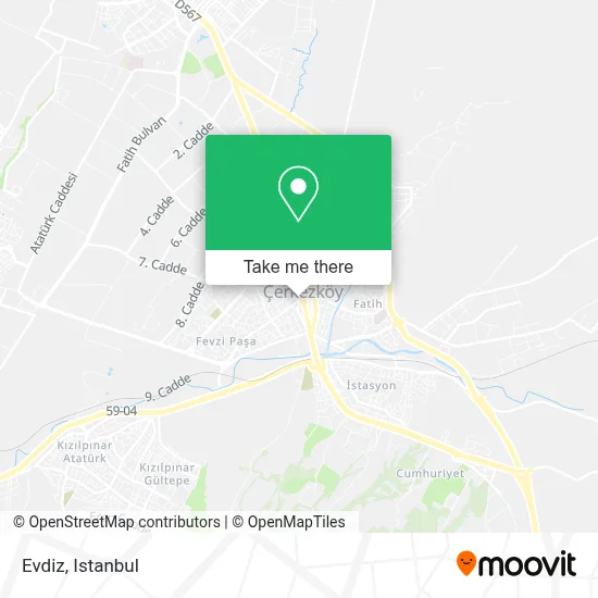 Evdiz map