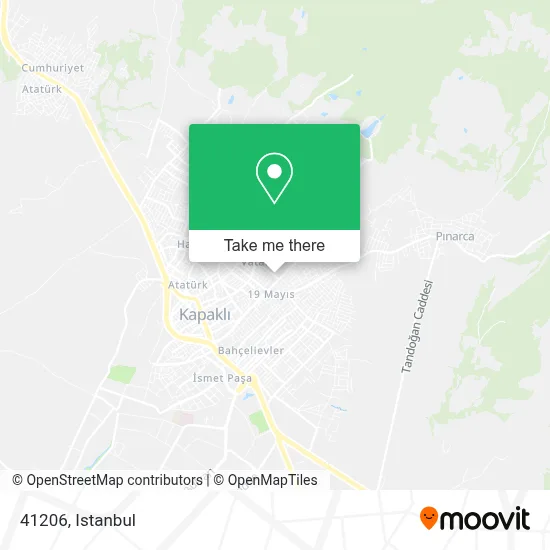 41206 map