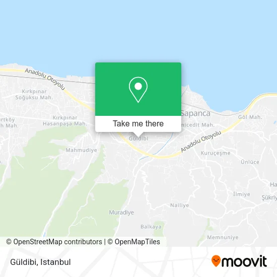 Güldibi map
