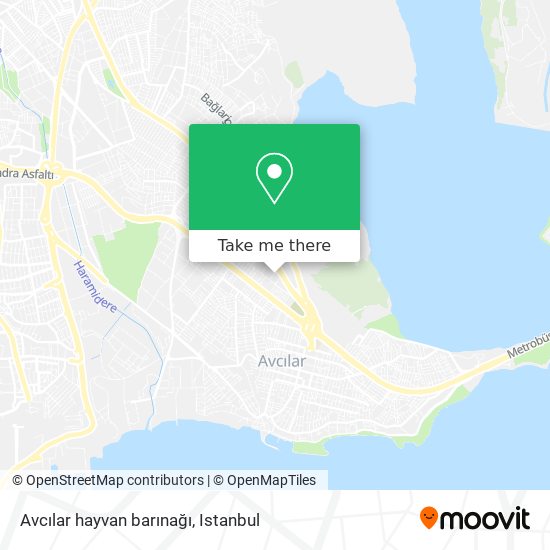 Avcılar hayvan barınağı map