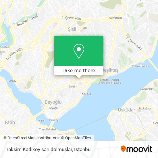 Taksim Kadıköy sarı dolmuşlar map