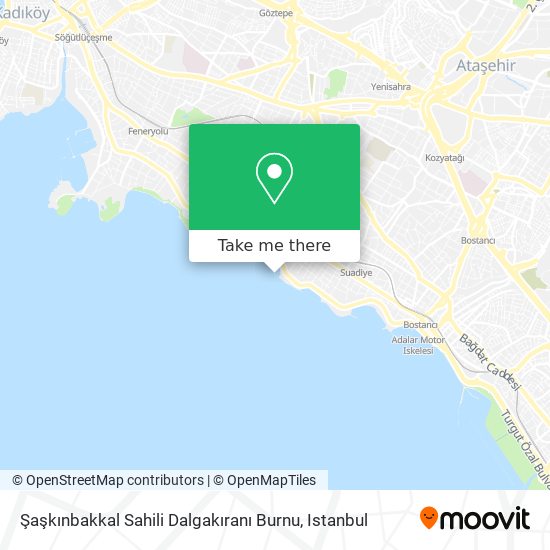 Şaşkınbakkal Sahili Dalgakıranı Burnu map