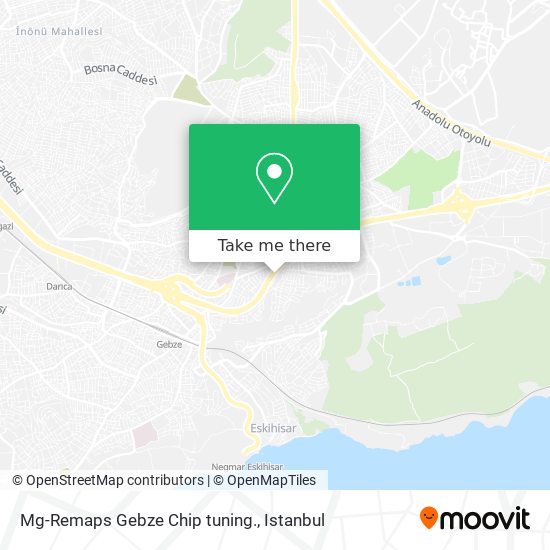 Mg-Remaps Gebze Chip tuning. map