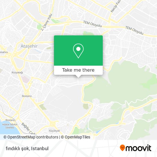 fındıklı şok map