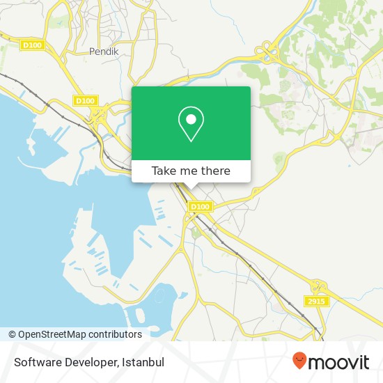 Software Developer map