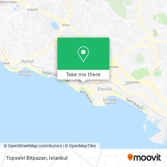 Topselvi Bitpazarı map