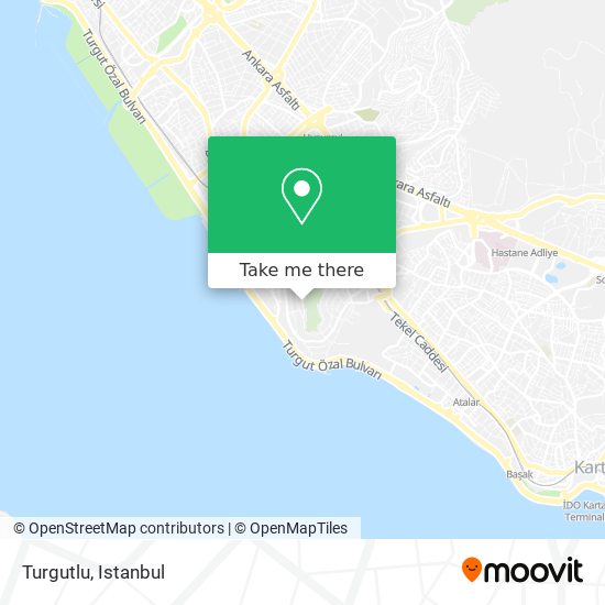 Turgutlu map