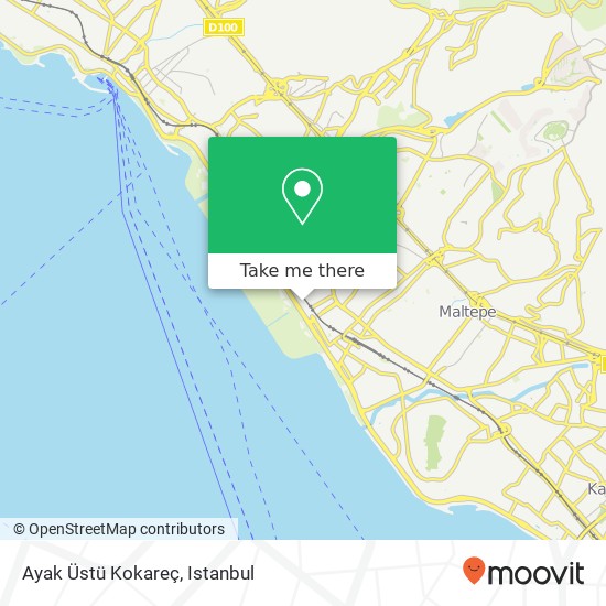 Ayak Üstü Kokareç map