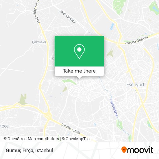 Gümüş Fırça map