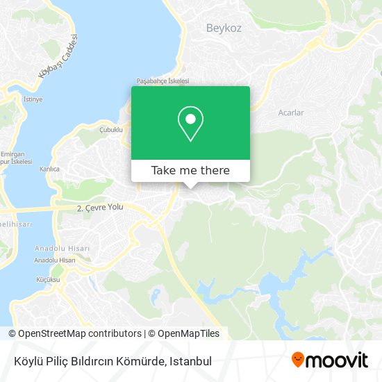 Köylü Piliç Bıldırcın Kömürde map