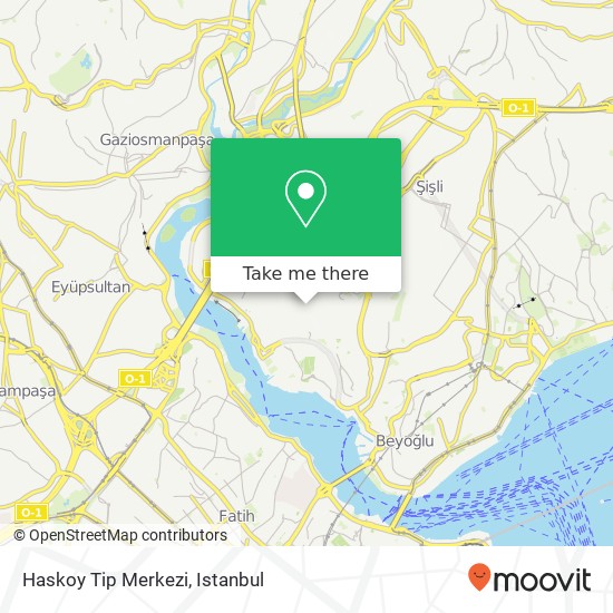 Haskoy Tip Merkezi map