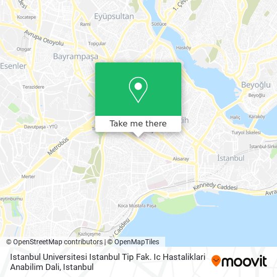 Istanbul Universitesi Istanbul Tip Fak. Ic Hastaliklari Anabilim Dali map