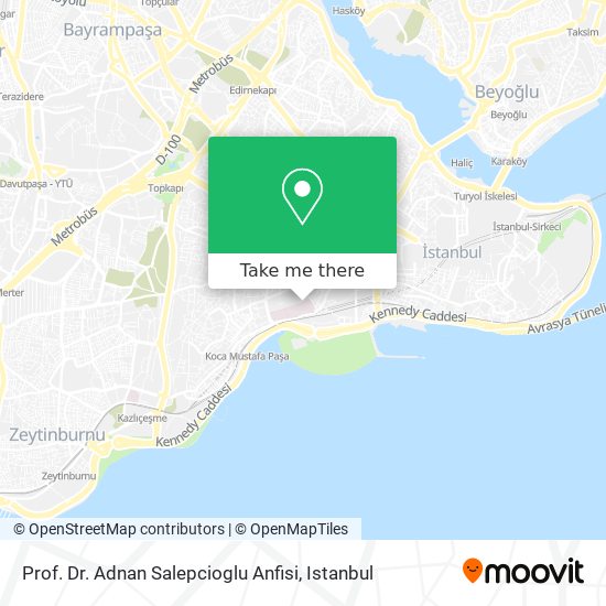 Prof. Dr. Adnan Salepcioglu Anfisi map