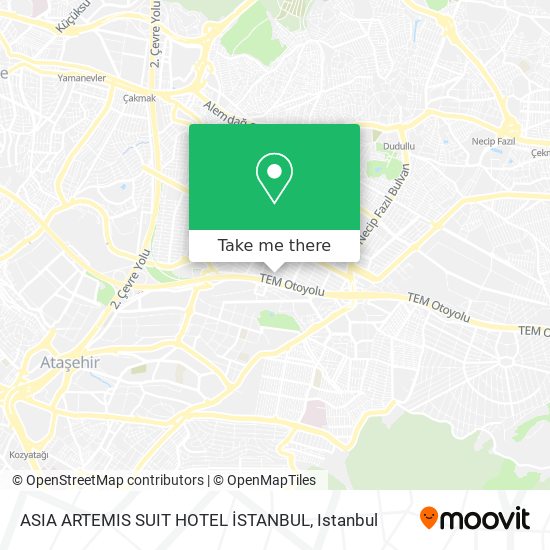 ASIA ARTEMIS SUIT HOTEL İSTANBUL map