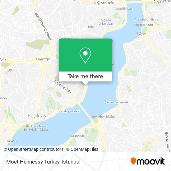 Moët Hennessy Turkey map