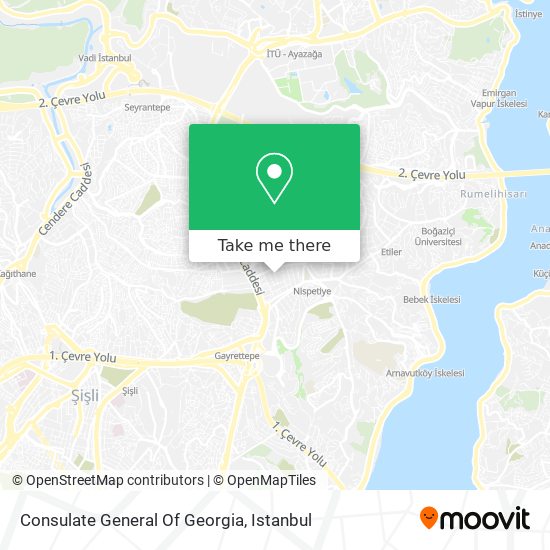 Consulate General Of Georgia map