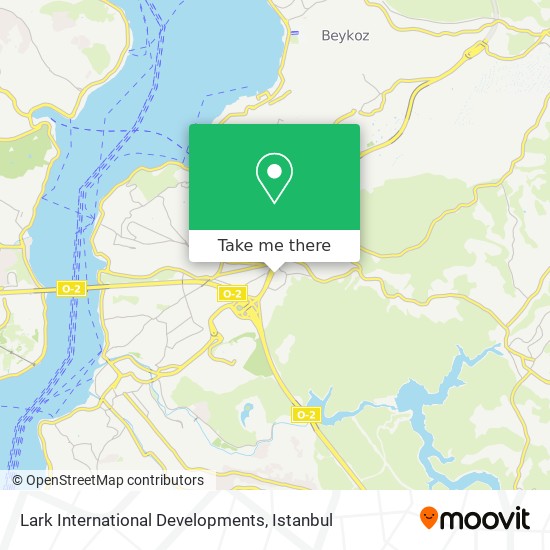 Lark International Developments map