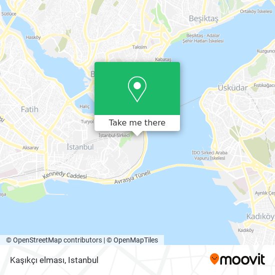 Kaşıkçı elması map