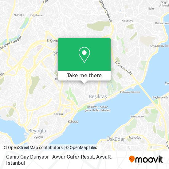 Canıs Cay Dunyası - Avsar Cafe/ ResuL AvsaR map