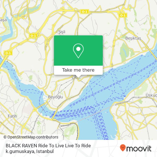 BLACK RAVEN Ride To Live Live To Ride k.gumuskaya map