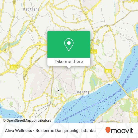 Aliva Wellness - Beslenme Danışmanlığı map