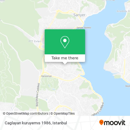 Caglayan kuruyemıs 1986 map