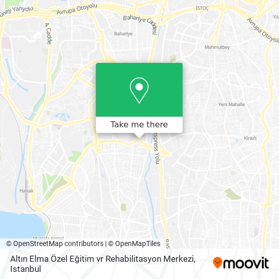 Altın Elma Özel Eğitim vr Rehabilitasyon Merkezi map