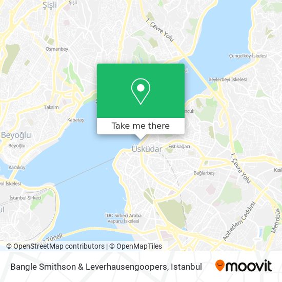 Bangle Smithson & Leverhausengoopers map