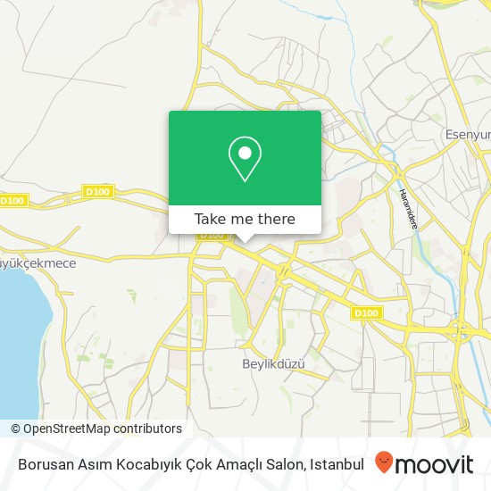 Borusan Asım Kocabıyık Çok Amaçlı Salon map