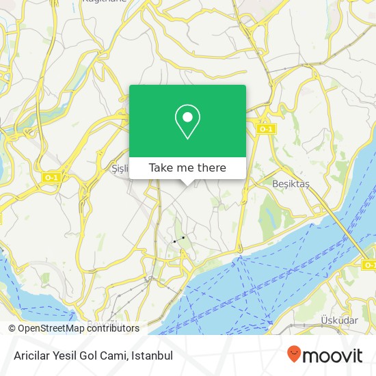 Aricilar Yesil Gol Cami map