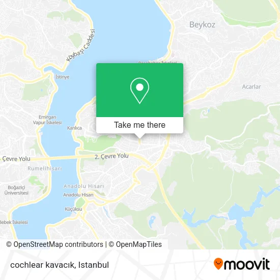 cochlear kavacık map