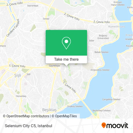 Selenium City C5 map