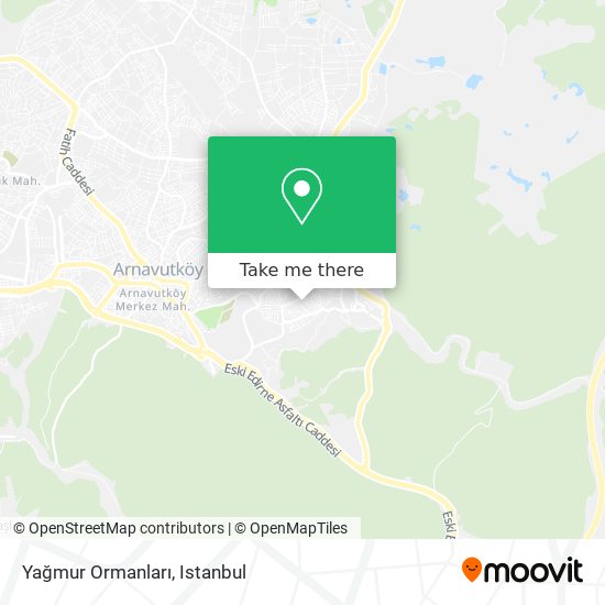 Yağmur Ormanları map