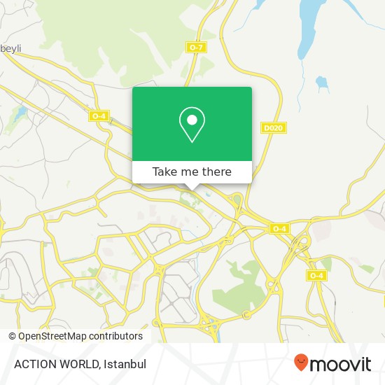 ACTION WORLD map