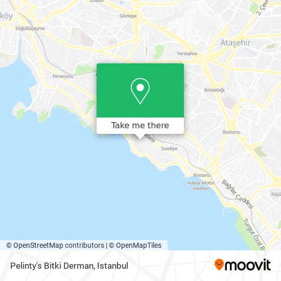 Pelinty's Bitki Derman map