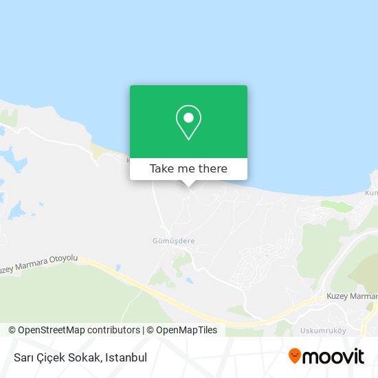 Sarı Çiçek Sokak map