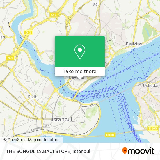 THE SONGÜL CABACI STORE map