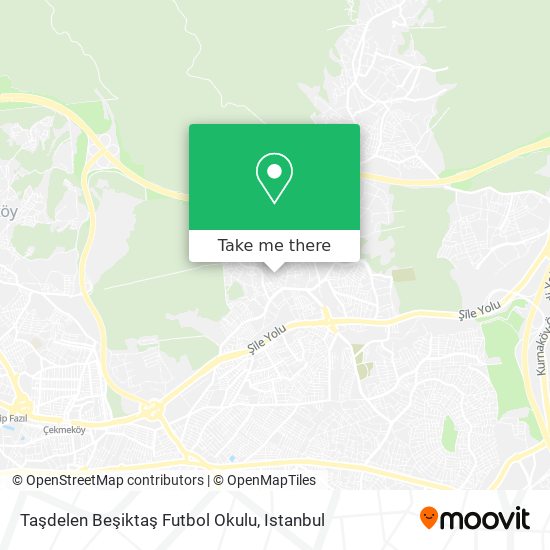 Taşdelen Beşiktaş Futbol Okulu map