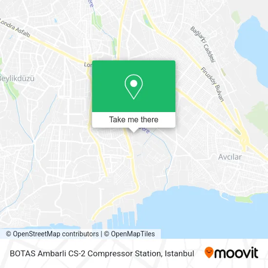 BOTAS Ambarli CS-2 Compressor Station map