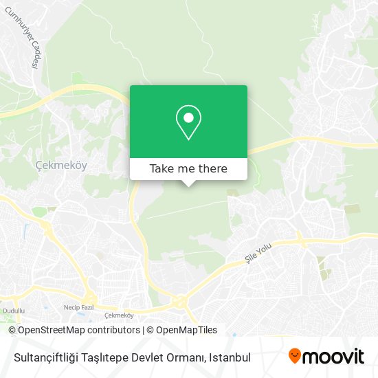 Sultançiftliği Taşlıtepe Devlet Ormanı map
