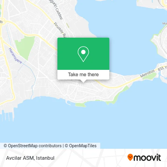 Avcilar ASM map