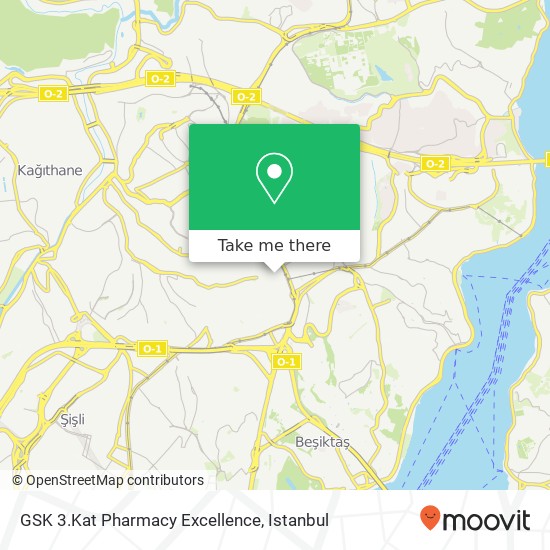 GSK 3.Kat Pharmacy Excellence map