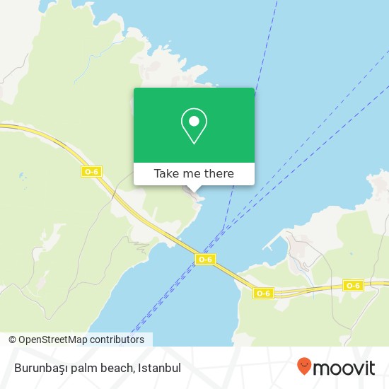 Burunbaşı palm beach map