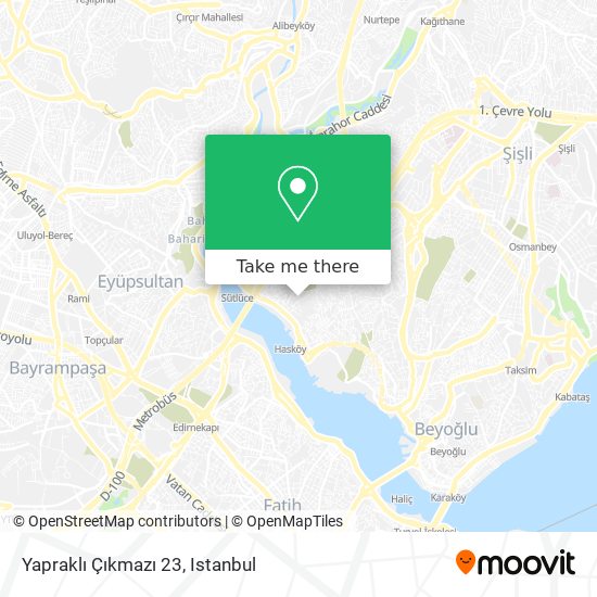 Yapraklı Çıkmazı 23 map