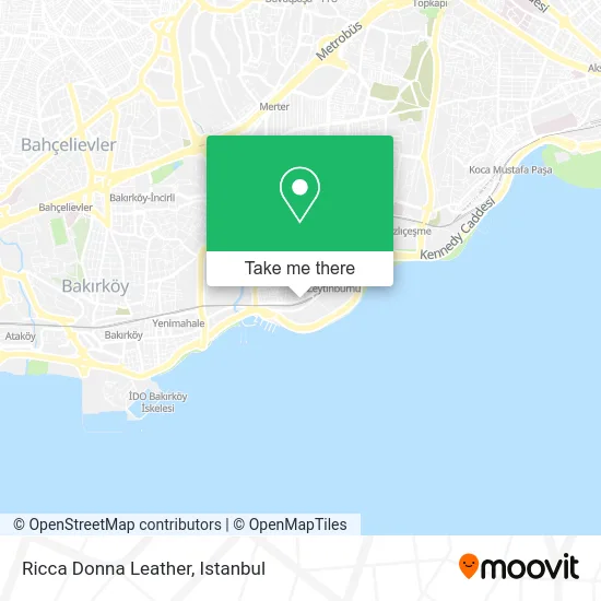 Ricca Donna Leather map