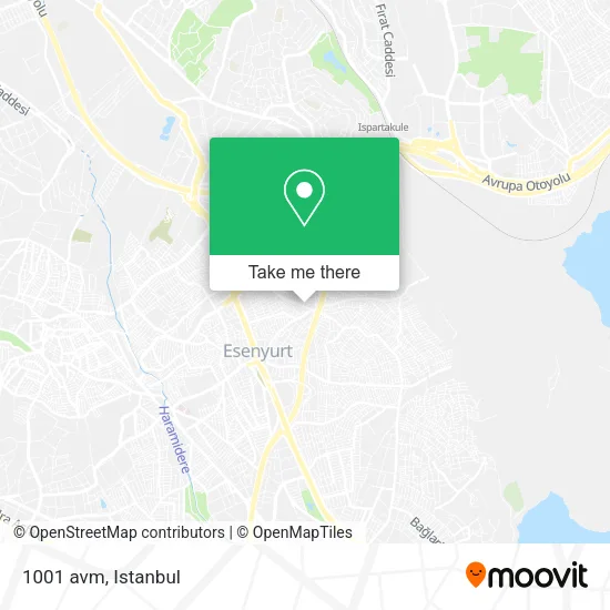 1001 avm map