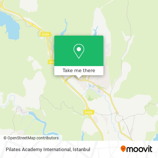 Pilates Academy International map