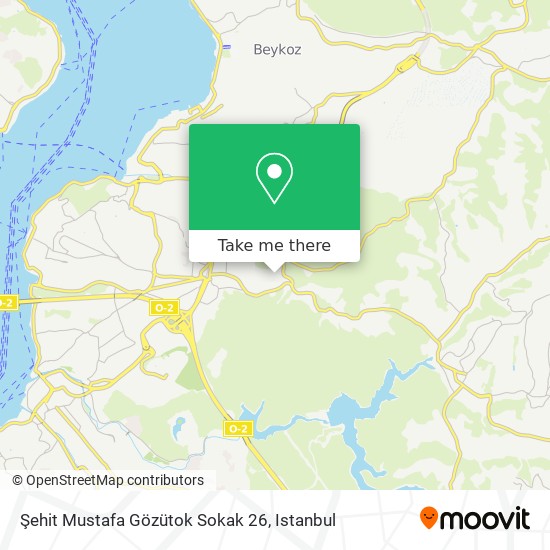 Şehit Mustafa Gözütok Sokak 26 map